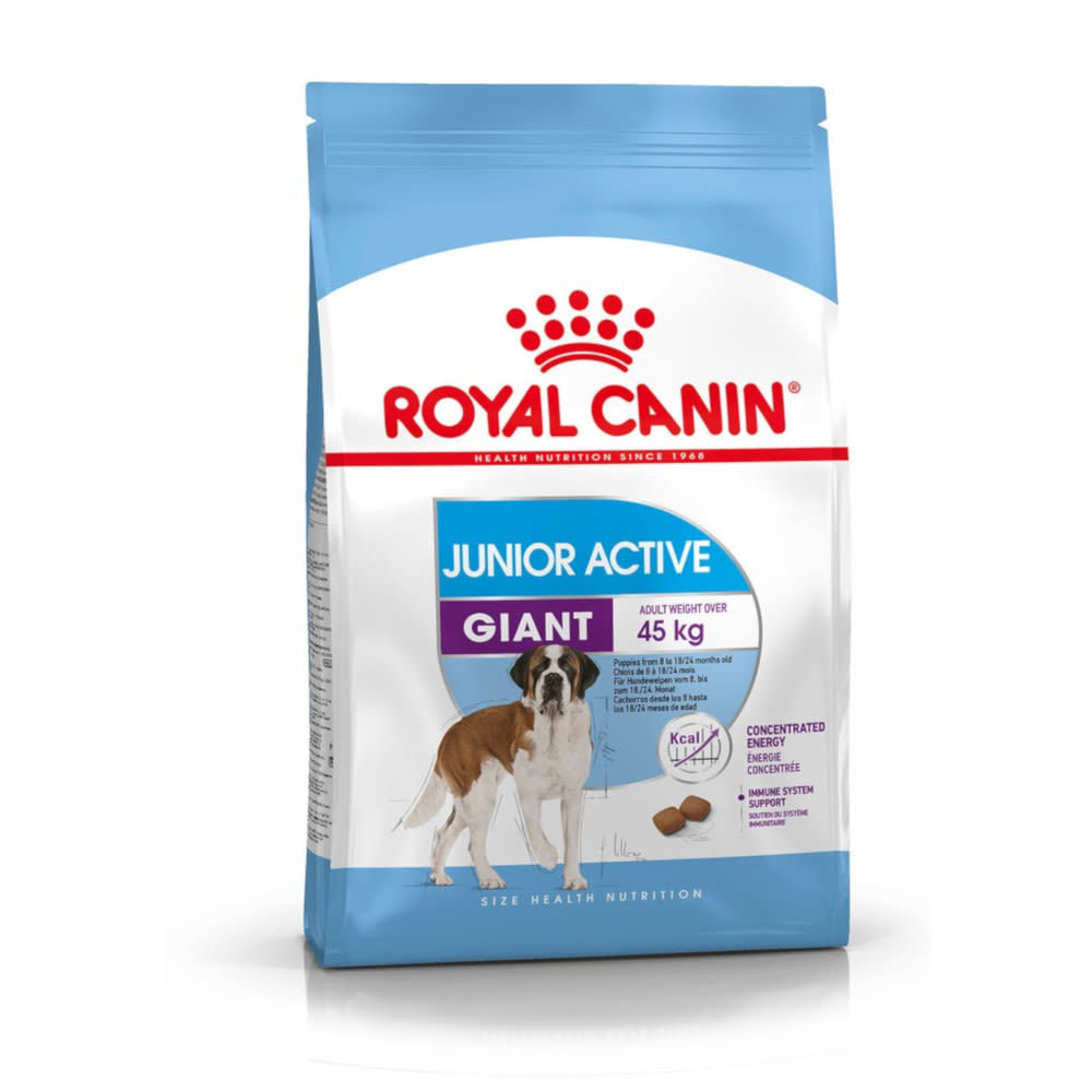 royal canin giant junior feeding guide