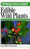 a field guide to edible wild plants