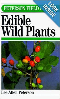 a field guide to edible wild plants