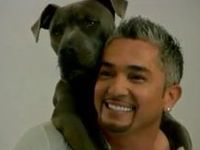dog whisperer with cesar millan the ultimate episode guide