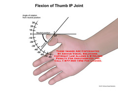 measurement of joint motion a guide to goniometry