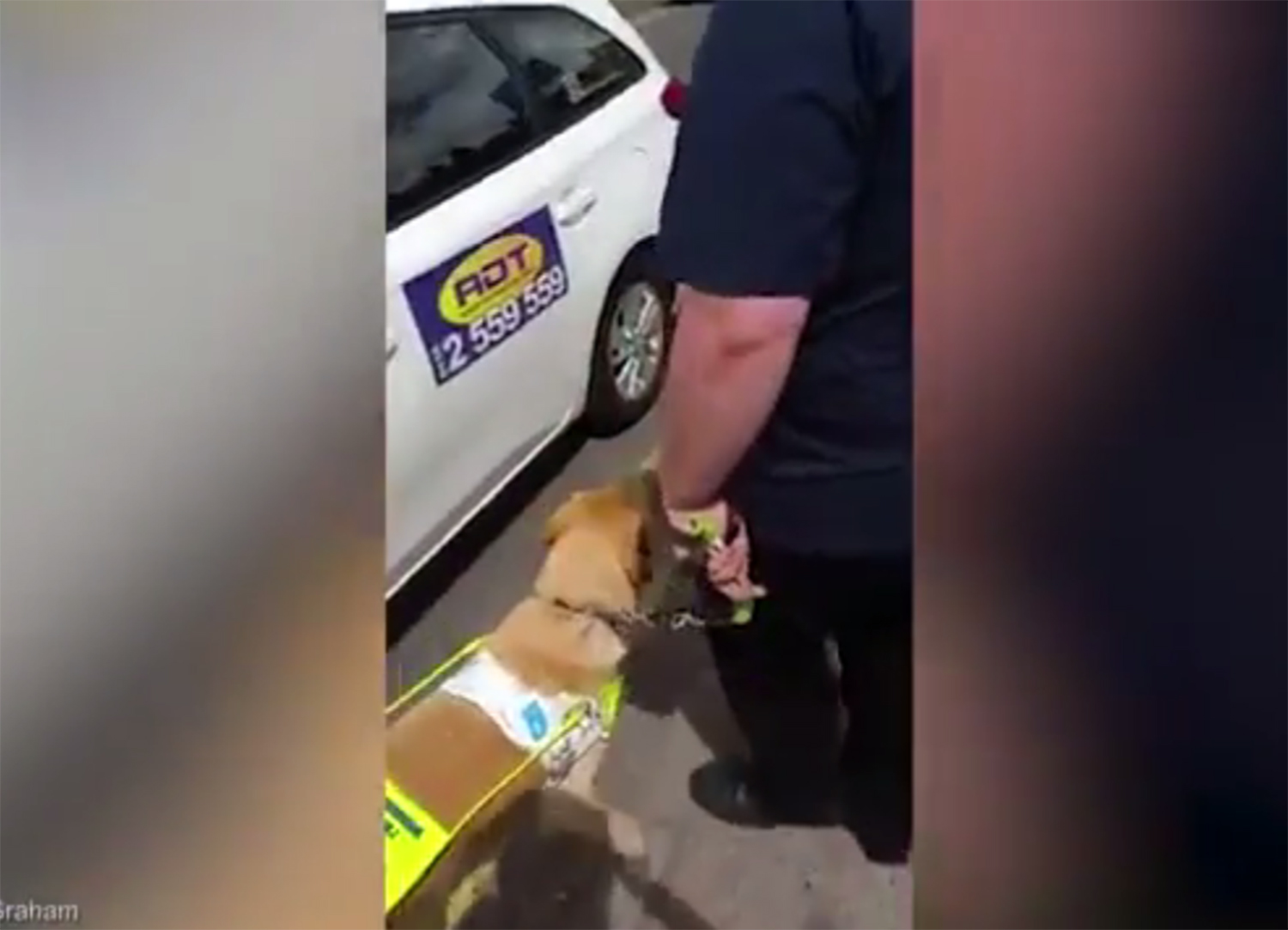 taxi driver refuses guide dog